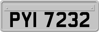 PYI7232