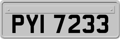 PYI7233