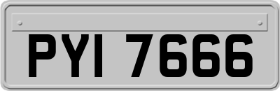 PYI7666