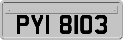 PYI8103