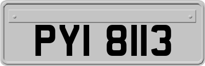 PYI8113