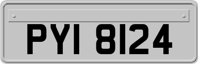 PYI8124