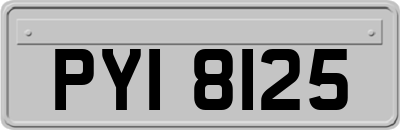 PYI8125