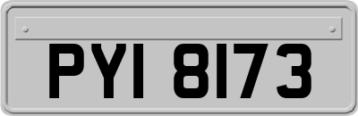 PYI8173