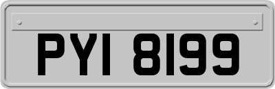 PYI8199