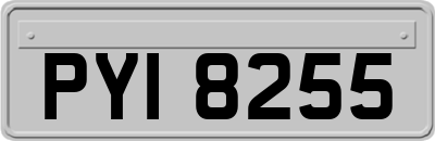 PYI8255