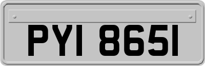 PYI8651