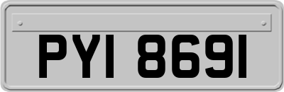 PYI8691