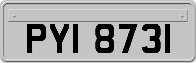 PYI8731