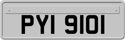 PYI9101