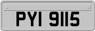 PYI9115