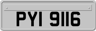 PYI9116