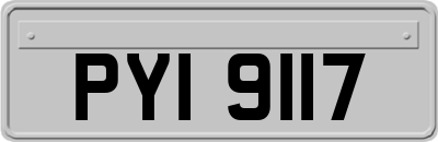 PYI9117
