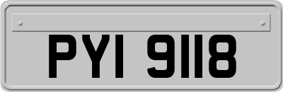 PYI9118