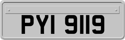PYI9119