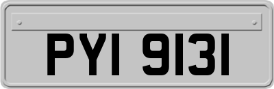 PYI9131