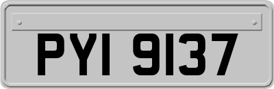 PYI9137