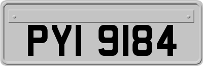 PYI9184