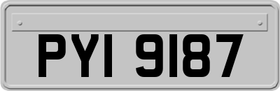 PYI9187