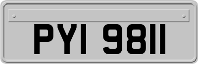 PYI9811