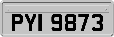 PYI9873