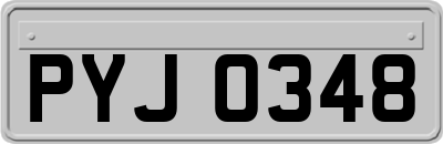 PYJ0348