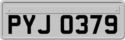 PYJ0379