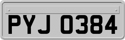 PYJ0384