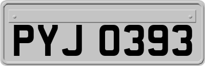 PYJ0393