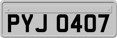 PYJ0407