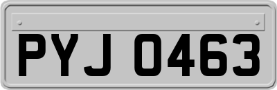 PYJ0463