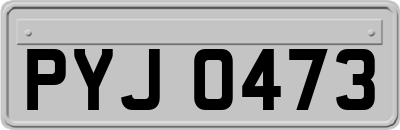 PYJ0473