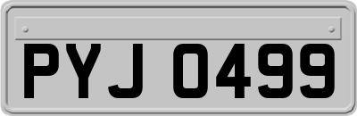 PYJ0499