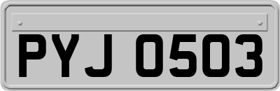 PYJ0503