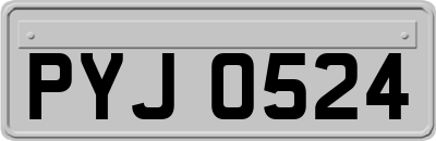 PYJ0524