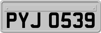 PYJ0539