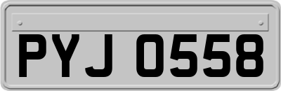 PYJ0558