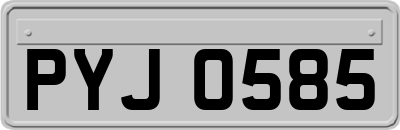 PYJ0585