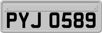 PYJ0589