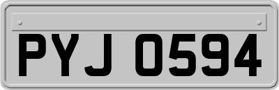 PYJ0594