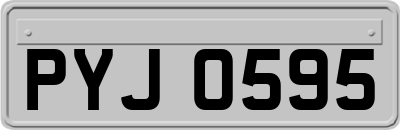 PYJ0595