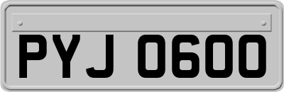 PYJ0600