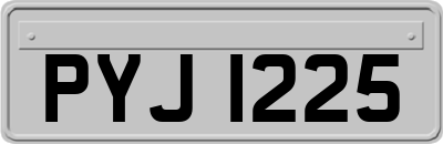 PYJ1225