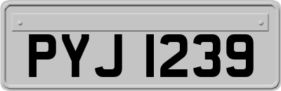 PYJ1239