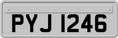 PYJ1246