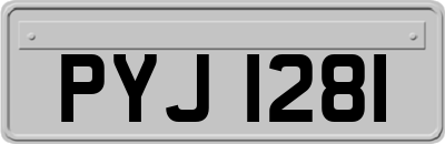 PYJ1281