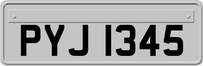 PYJ1345