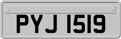 PYJ1519