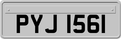 PYJ1561