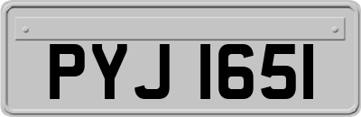 PYJ1651